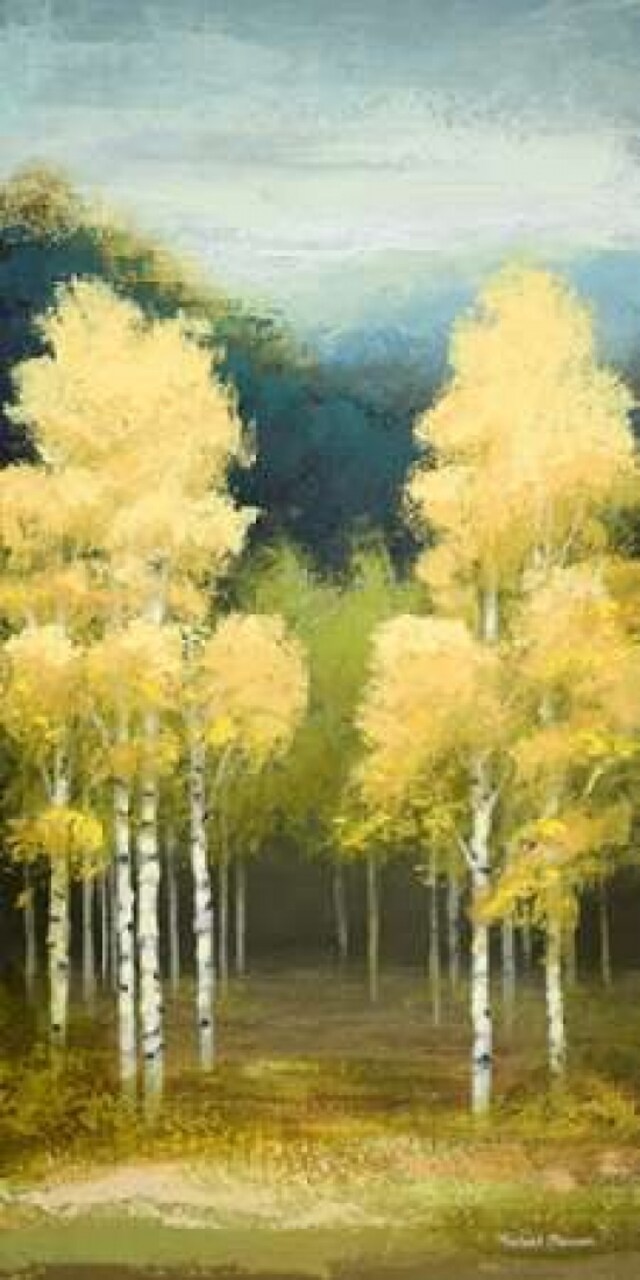 Birchwood II Poster Print by Michael Marcon - Item # VARPDX9761